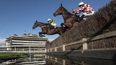 https://betting.betfair.com/horse-racing/Newbury%20water%20jump%20Champ%20McManus%201280.jpg